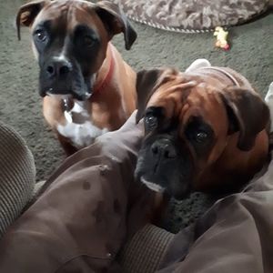 Meet your Posher, Brenda